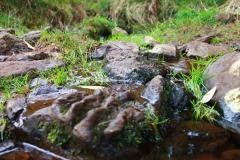sortie_ma_20140825_1014737729