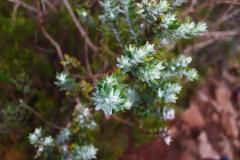 sortie_ma_20140825_1020718251