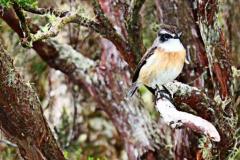 sortie_ma_20140825_1218482241