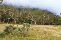 sortie_ma_20140825_1467341079