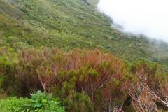 sortie_ma_20140825_1467917866