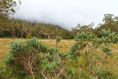 sortie_ma_20140825_1488717824