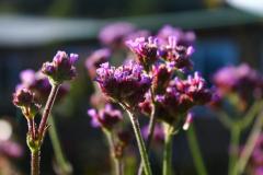 sortie_ma_20140825_1559674442