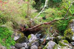 sortie_ma_20140825_1584363673