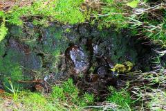 sortie_ma_20140825_1630742848