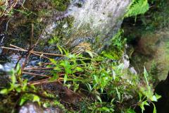sortie_ma_20140825_1693896389