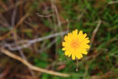 sortie_ma_20140825_1781357208