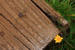 sortie_ma_20140825_1898396671