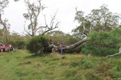 sortie_ma_20140825_1981998570